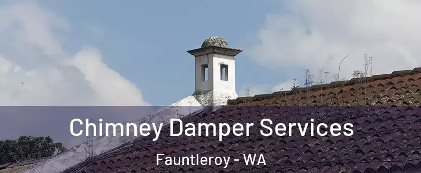 Chimney Damper Services Fauntleroy - WA