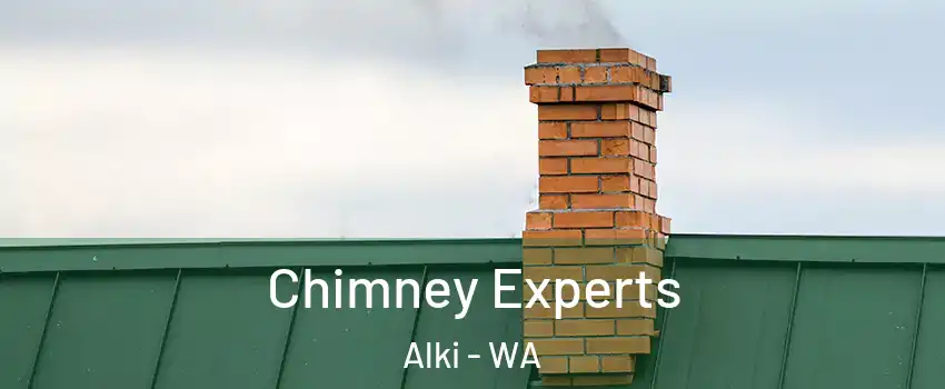 Chimney Experts Alki - WA