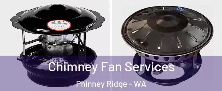 Chimney Fan Services Phinney Ridge - WA