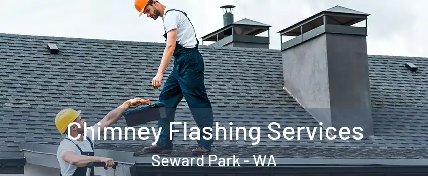 Chimney Flashing Services Seward Park - WA