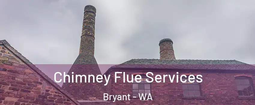 Chimney Flue Services Bryant - WA