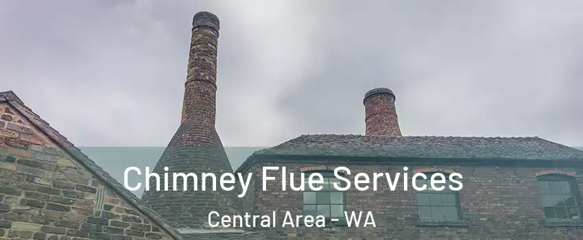 Chimney Flue Services Central Area - WA