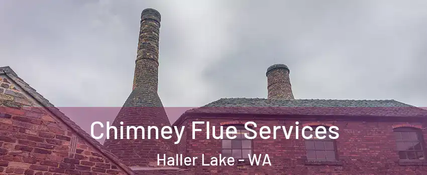 Chimney Flue Services Haller Lake - WA