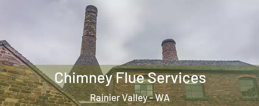 Chimney Flue Services Rainier Valley - WA