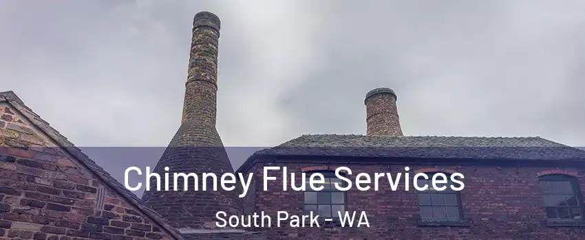 Chimney Flue Services South Park - WA