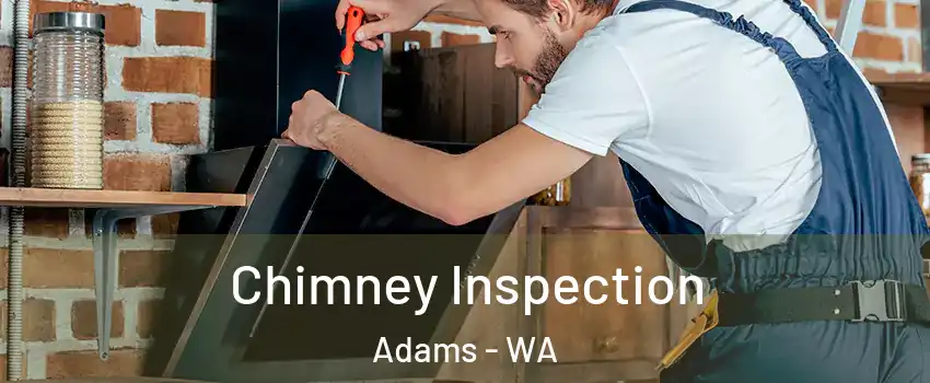 Chimney Inspection Adams - WA