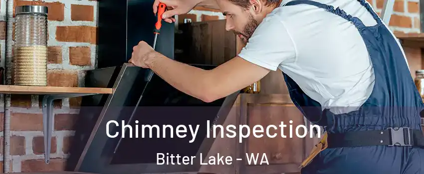 Chimney Inspection Bitter Lake - WA