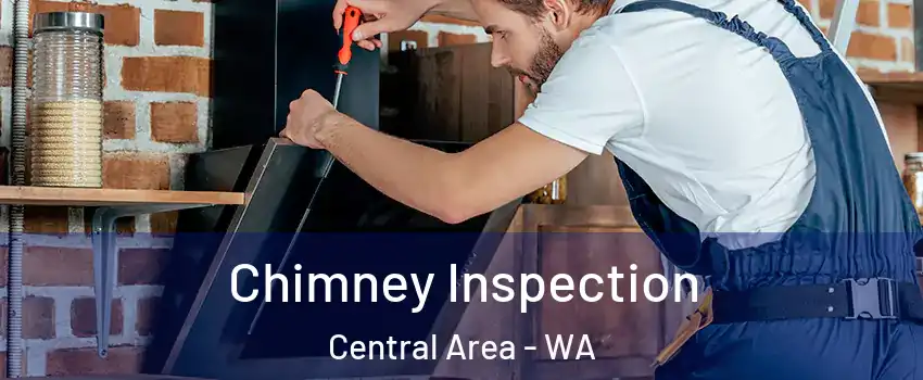 Chimney Inspection Central Area - WA