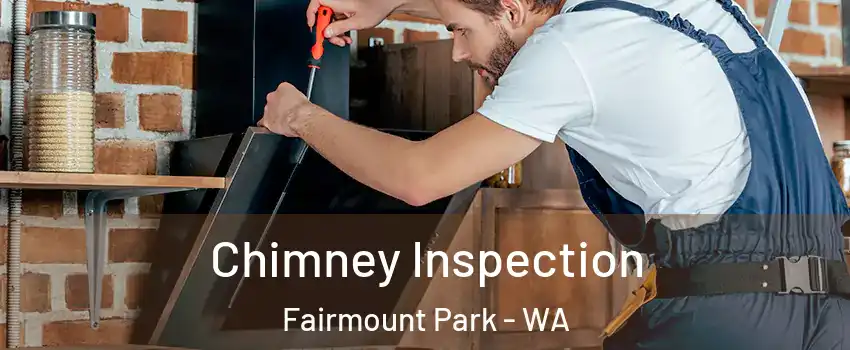 Chimney Inspection Fairmount Park - WA