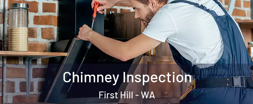 Chimney Inspection First Hill - WA