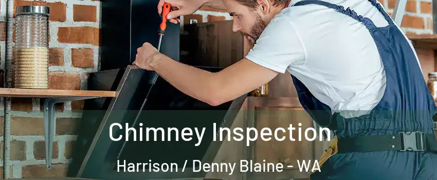 Chimney Inspection Harrison / Denny Blaine - WA