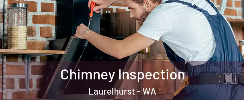 Chimney Inspection Laurelhurst - WA