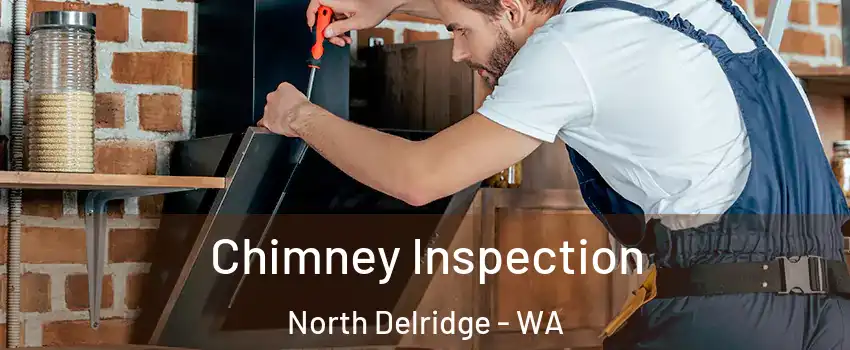 Chimney Inspection North Delridge - WA