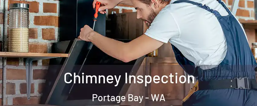 Chimney Inspection Portage Bay - WA