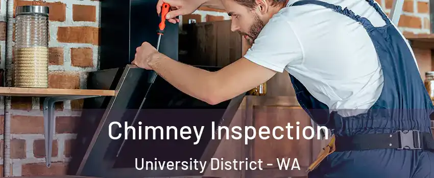 Chimney Inspection University District - WA