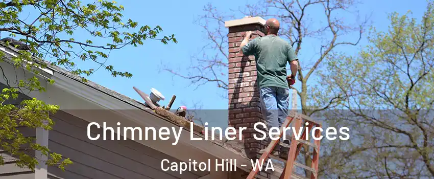 Chimney Liner Services Capitol Hill - WA