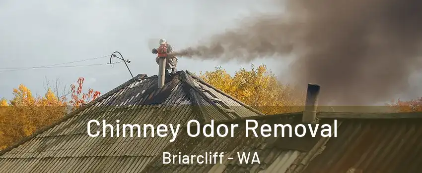 Chimney Odor Removal Briarcliff - WA