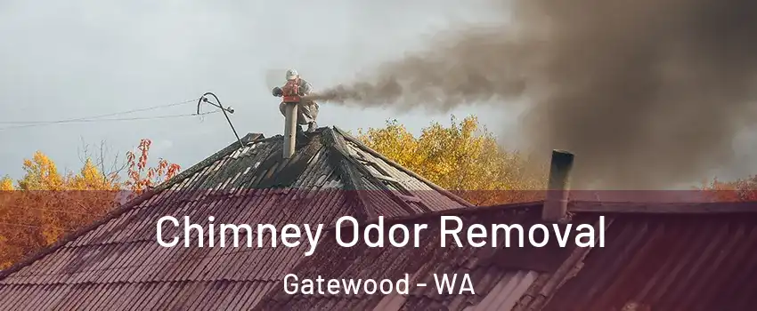 Chimney Odor Removal Gatewood - WA