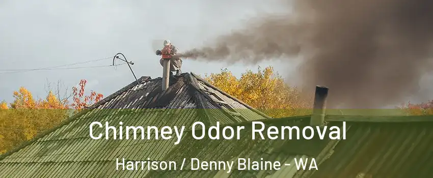 Chimney Odor Removal Harrison / Denny Blaine - WA