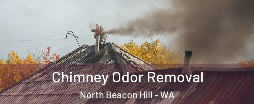 Chimney Odor Removal North Beacon Hill - WA