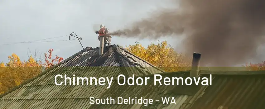 Chimney Odor Removal South Delridge - WA