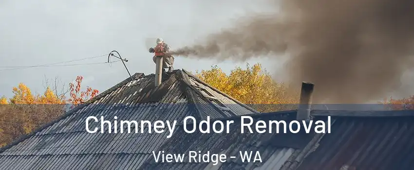 Chimney Odor Removal View Ridge - WA