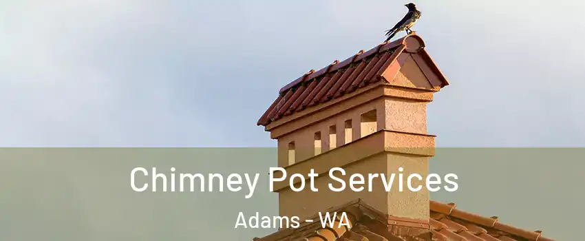 Chimney Pot Services Adams - WA