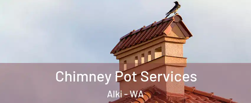 Chimney Pot Services Alki - WA