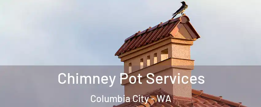 Chimney Pot Services Columbia City - WA