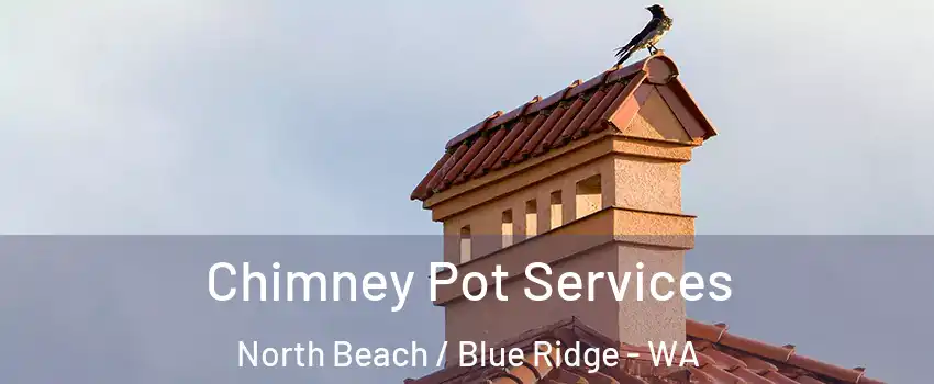 Chimney Pot Services North Beach / Blue Ridge - WA