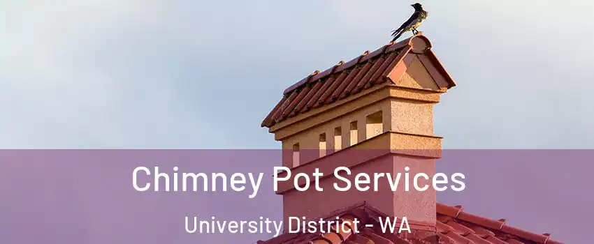 Chimney Pot Services University District - WA