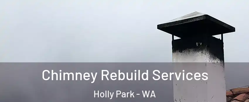 Chimney Rebuild Services Holly Park - WA