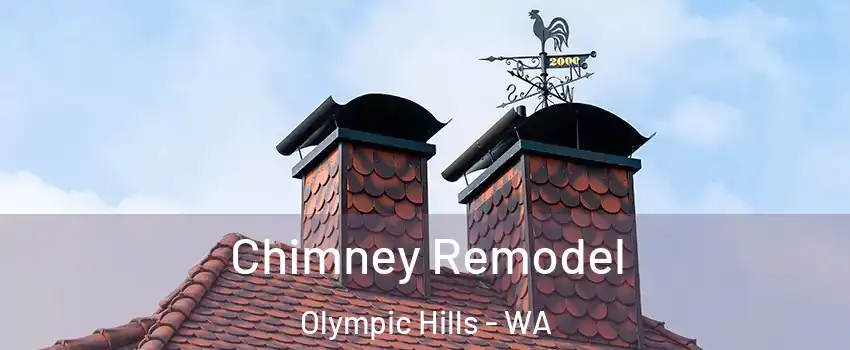 Chimney Remodel Olympic Hills - WA