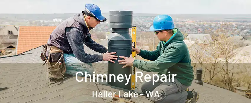 Chimney Repair Haller Lake - WA