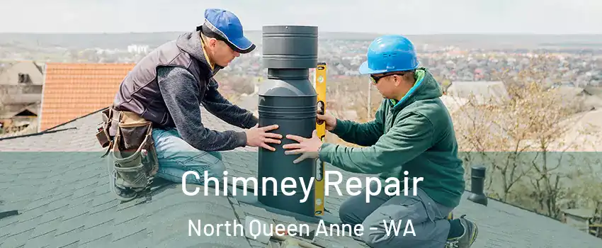 Chimney Repair North Queen Anne - WA