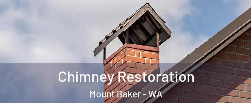 Chimney Restoration Mount Baker - WA