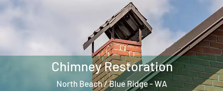 Chimney Restoration North Beach / Blue Ridge - WA