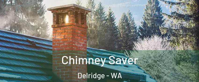 Chimney Saver Delridge - WA