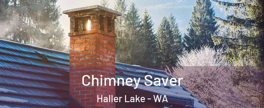 Chimney Saver Haller Lake - WA