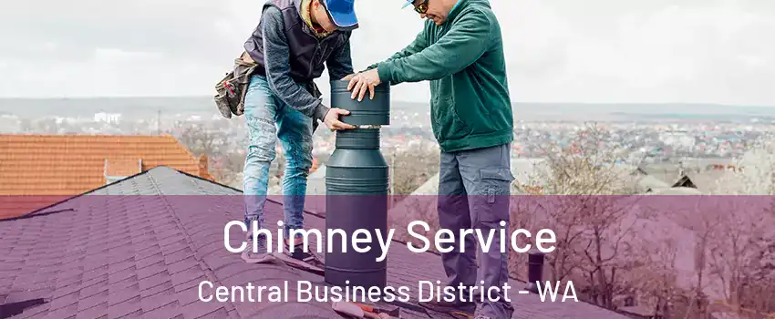 Chimney Service Central Business District - WA