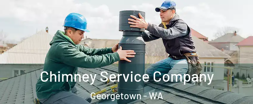 Chimney Service Company Georgetown - WA