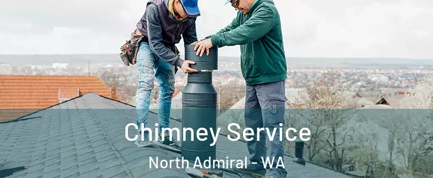 Chimney Service North Admiral - WA