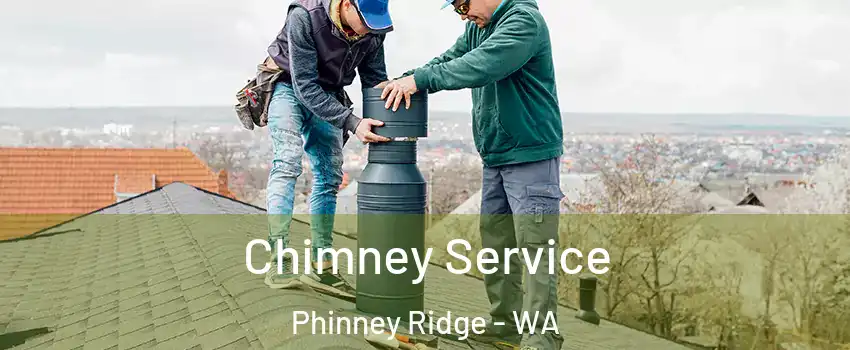 Chimney Service Phinney Ridge - WA