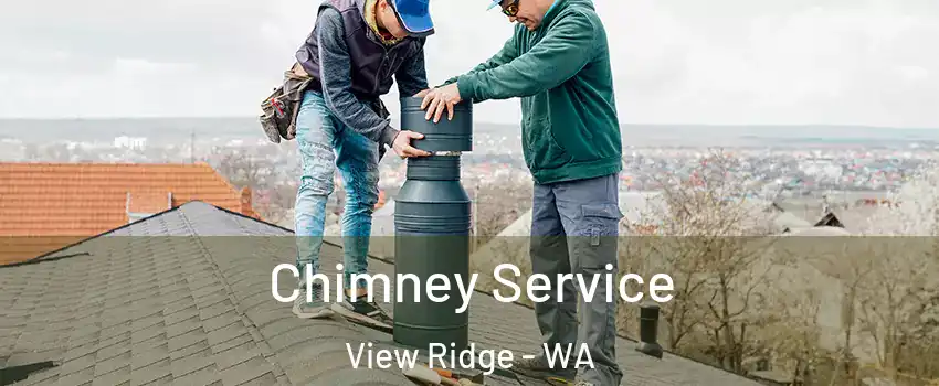 Chimney Service View Ridge - WA