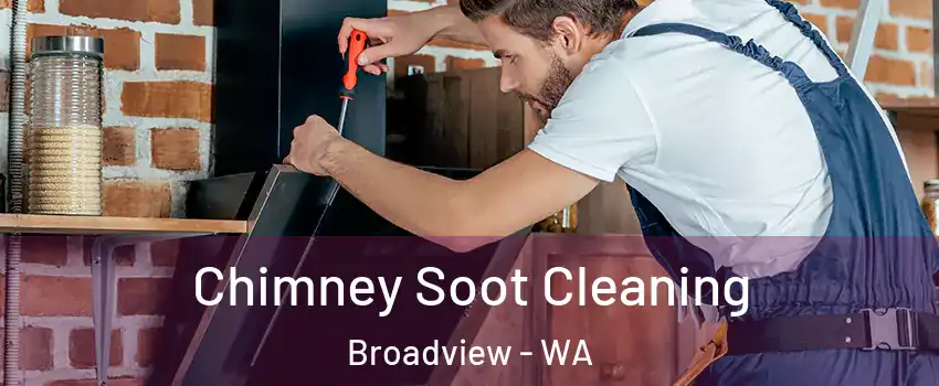 Chimney Soot Cleaning Broadview - WA