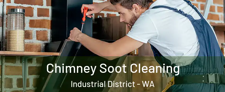 Chimney Soot Cleaning Industrial District - WA