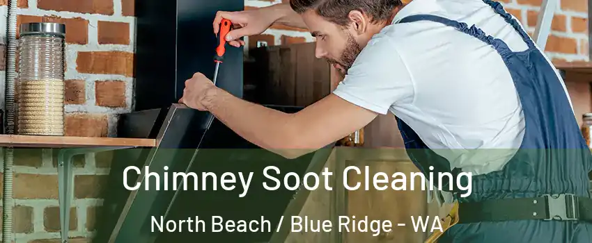 Chimney Soot Cleaning North Beach / Blue Ridge - WA