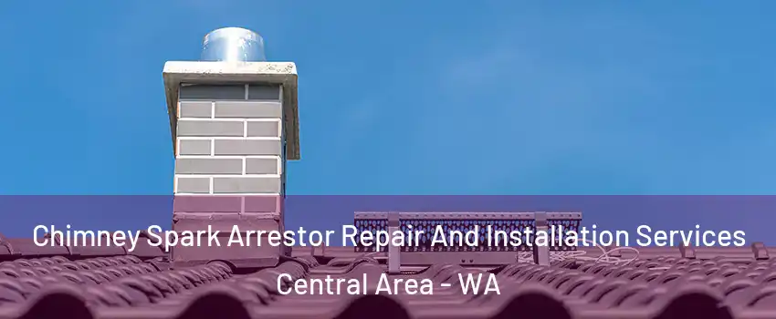 Chimney Spark Arrestor Repair And Installation Services Central Area - WA