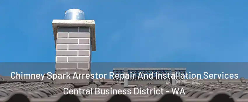 Chimney Spark Arrestor Repair And Installation Services Central Business District - WA