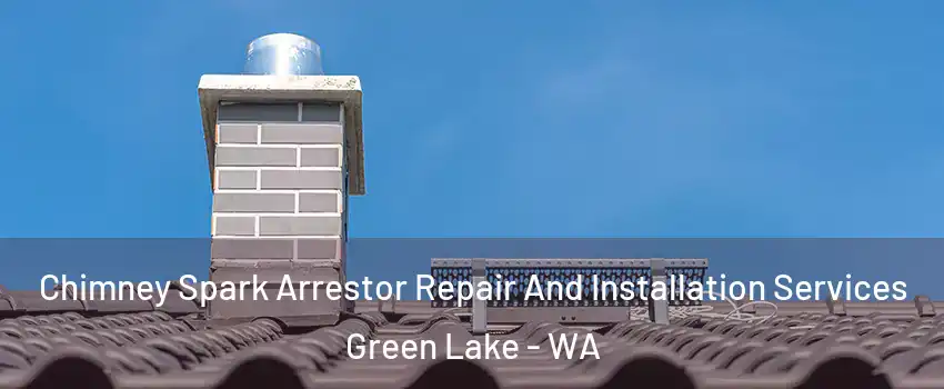 Chimney Spark Arrestor Repair And Installation Services Green Lake - WA